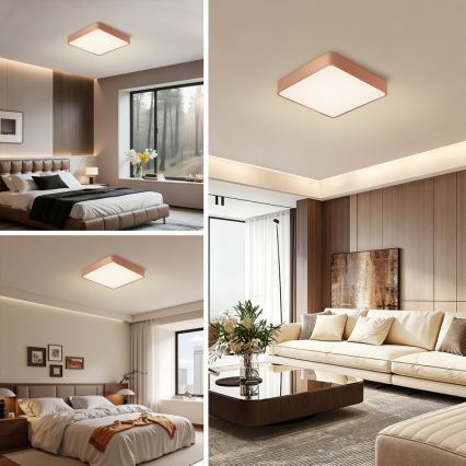 BRILAGI - Plafonnier LED dimmable POOL SQUARE LED/48W/230V 3000-6000K 50x50 cm bronze + télécommande