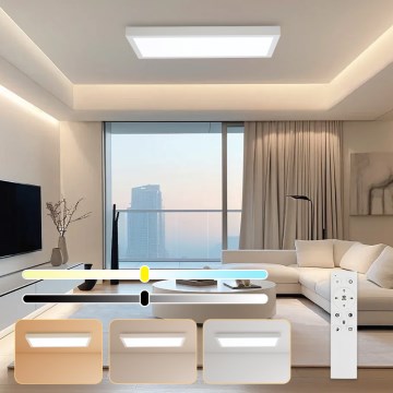 Brilagi - Plafonnier LED dimmable pour salle de bains FRAME SMART LED/30W/230V 30x60 cm 3000-6000K IP44 blanc + télécommande