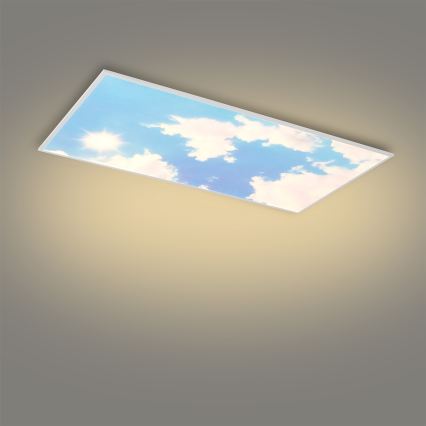 Brilagi - Plafonnier LED dimmable SLIMFRAME SKY LED/80W/230V 120x60 cm 3000-6000K argent/bleu + télécommande