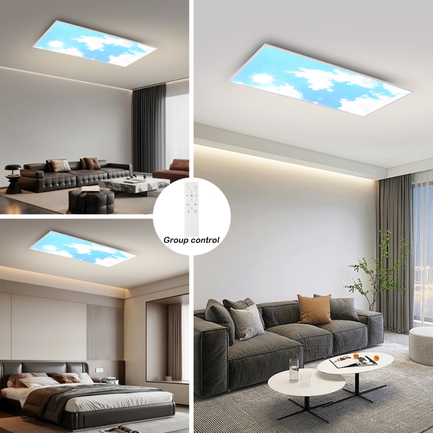 Brilagi - Plafonnier LED dimmable SLIMFRAME SKY LED/80W/230V 120x60 cm 3000-6000K argent/bleu + télécommande