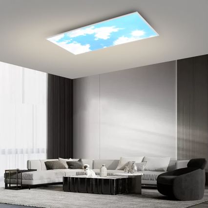 Brilagi - Plafonnier LED dimmable SLIMFRAME SKY LED/80W/230V 120x60 cm 3000-6000K argent/bleu + télécommande