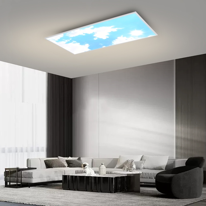 Brilagi - Plafonnier LED dimmable SLIMFRAME SKY LED/80W/230V 120x60 cm 3000-6000K argent/bleu + télécommande