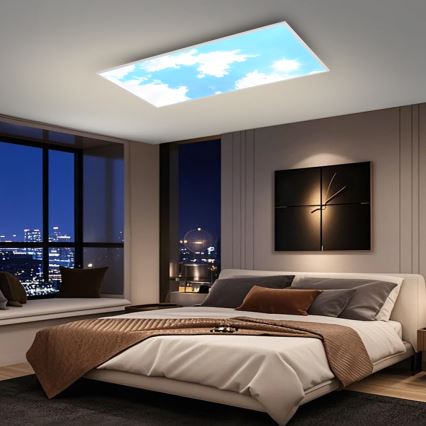 Brilagi - Plafonnier LED dimmable SLIMFRAME SKY LED/80W/230V 120x60 cm 3000-6000K argent/bleu + télécommande