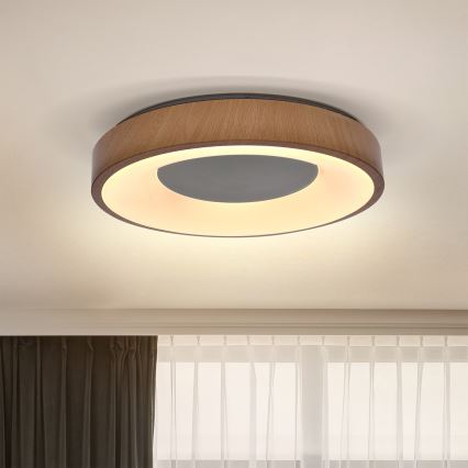 Brilagi - Plafonnier LED DORIA LED/24W/230V Ø 28,5 cm