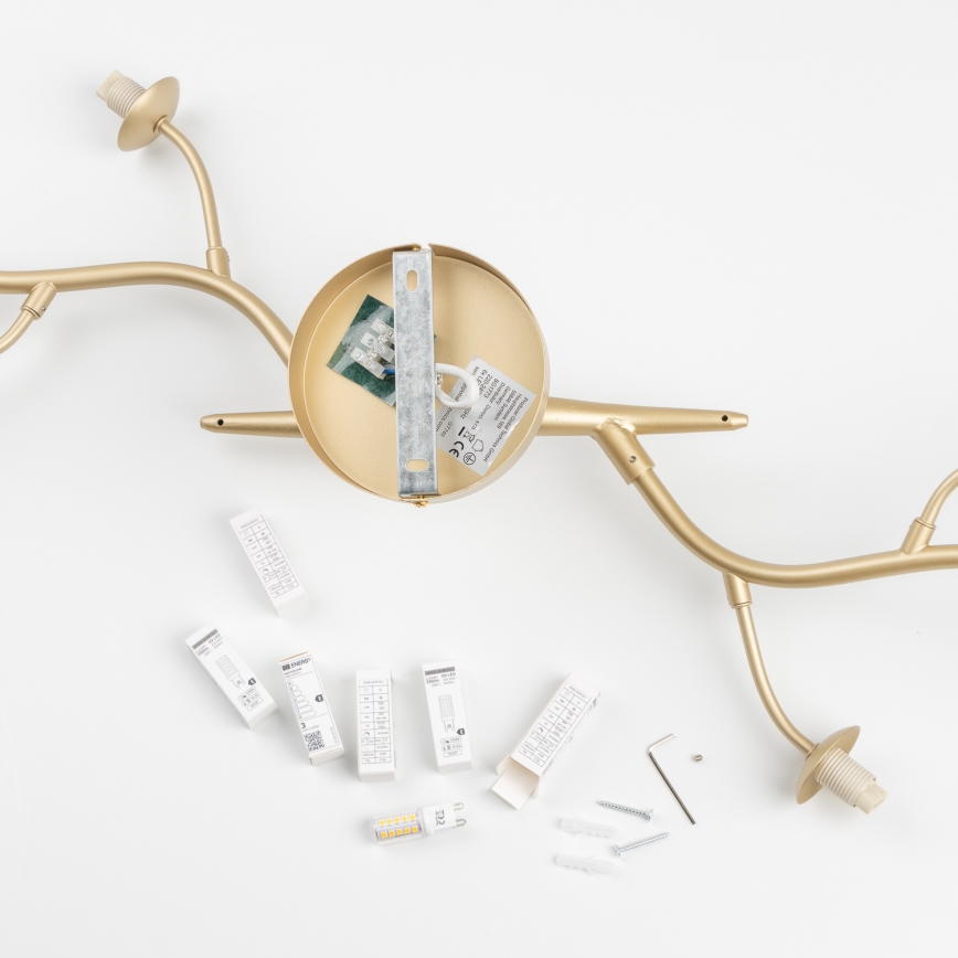 Brilagi - Plafonnier LED MISTEL 6xG9/3W/230V doré