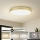 Brilagi - Plafonnier LED POOL LED/128W/230V 3000/4000/6000K Ø 100 cm doré
