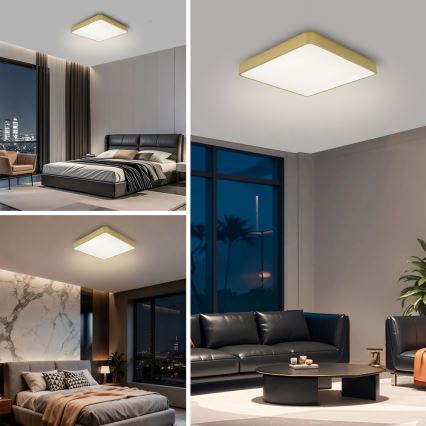 Brilagi - Plafonnier LED POOL LED/36W/230V 3000/4000/6000K 40x40 cm doré