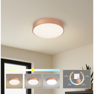 Brilagi - Plafonnier LED POOL LED/36W/230V 3000/4000/6000K Ø 30 cm bronze