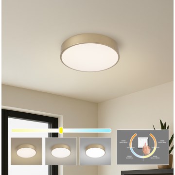 Brilagi - plafonnier LED POOL LED/36W/230V 3000/4000/6000K Ø 30 cm doré
