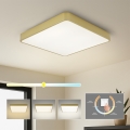 Brilagi - Plafonnier LED POOL LED/48W/230V 3000/4000/6000K 50x50 cm doré