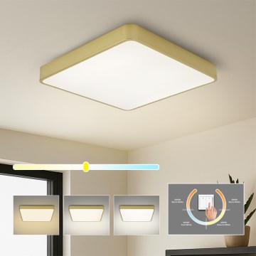 Brilagi - Plafonnier LED POOL LED/48W/230V 3000/4000/6000K 50x50 cm doré