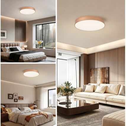 BRILAGI - plafonnier LED POOL LED/60W/230V 3000/4000/6000K Ø 50 cm cuivré