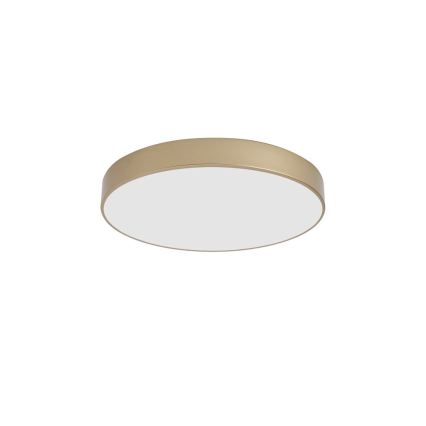 BRILAGI - Plafonnier LED POOL LED/60W/230V 3000/4000/6000K Ø 50 cm doré
