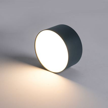 Brilagi - Plafonnier LED de salle de bains FORIS LED/14W/230V Ø 12 cm anthracite IP44