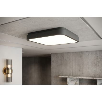 BRILAGI - Plafonnier LED pour salle de bains ZENNA LED/24W/230V 34,5x34,5 cm IP44 anthracite
