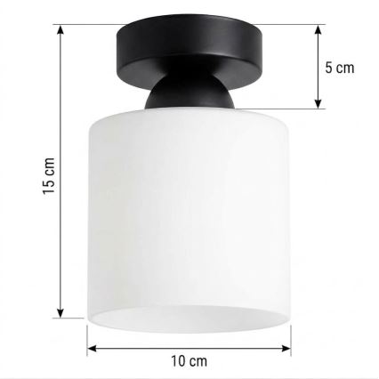 BRILAGI - Plafonnier LED RETRO GLASS 1xE27/60W/230V Ø 10 cm noir/blanc