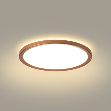 Brilagi - Plafonnier LED ultra-plat pour salle de bains, 12 W / 230 V, Ø 22,5 cm, finition or rose, IP54