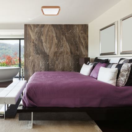 Brilagi - Plafonnier MANAROLA CUBIC LED/24W/230V 3000-6500K chêne + Télécommande