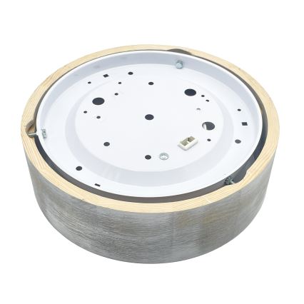 Brilagi - Plafonnier PINO 1xE27/15W/230V pin/argent Ø 27,5 cm