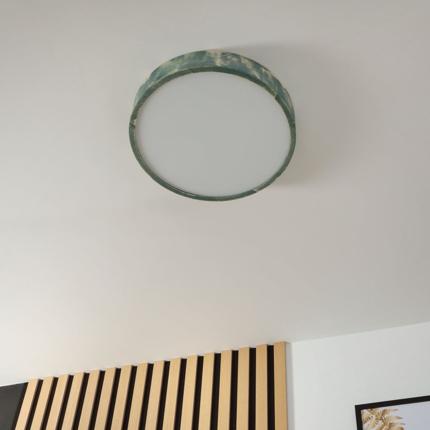 Brilagi - Plafonnier PINO 3xE27/15W/230V, pin/vert, Ø 47,5 cm