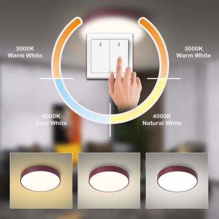 Brilagi - Plafonnier LED POOL 36W 230V 3000/4000/6000K Ø 30 cm, bordeaux