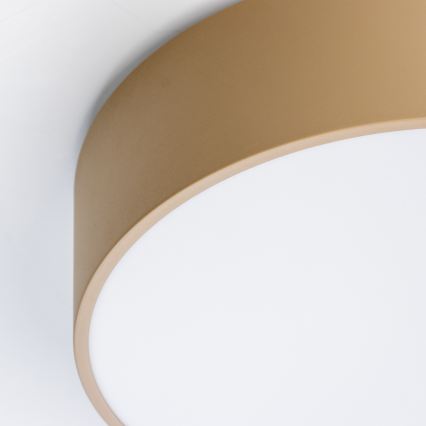 Brilagi - Plafonnier pour salle de bains POOL 3x E27/15W/230V Ø 40 cm IP54 beige