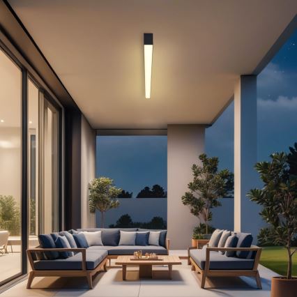 Brilagi - Plafonnier LED pour salle de bains SLEEKLINE LED/40W/230V 3000/4500/6000K noir IP44