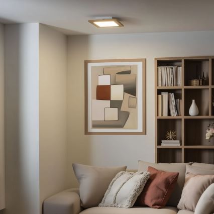 Brilagi - Plafonnier SLIMFRAME WOOD LED/25W/230V 34x34 cm marron