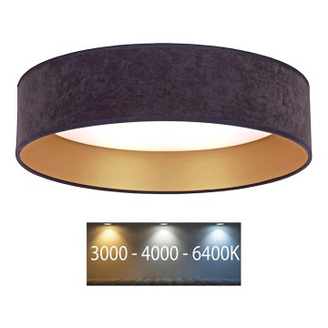 Brilagi - Plafonnier VELVET LED/12W/230V d. 30 cm 3000K/4000K/6400K gris/doré