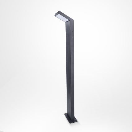 Brilagi - RIANO LED-buitenlamp 8W/230V antraciet IP65