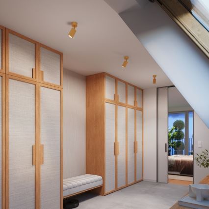 Brilagi - Spot CRESTO 1xGU10/10W/230V goud