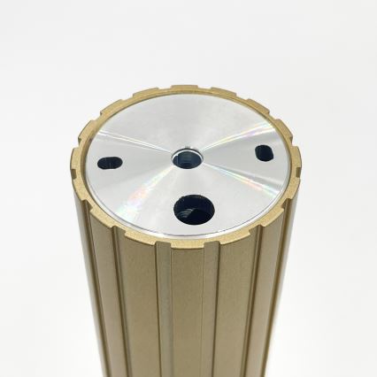 Brilagi - Spot CRISPINA 1xGU10/10W/230V 20 cm doré
