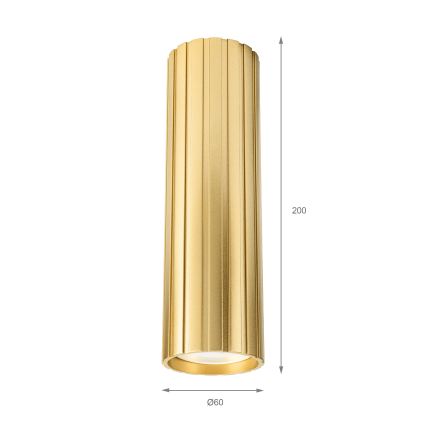 Brilagi - Spot CRISPINA 1xGU10/10W/230V 20 cm doré