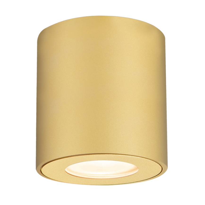 Brilagi - Spot de salle de bains MIA 1xGU10/30W/230V 84x80 mm doré IP54