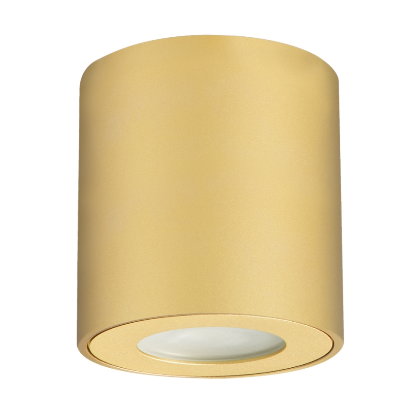 Brilagi - Spot de salle de bains MIA 1xGU10/30W/230V 84x80 mm doré IP54