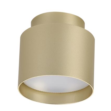 BRILAGI - Spot LED BACKLIT 1xGX53/15W/230V + LED/3W Ø 8 cm doré