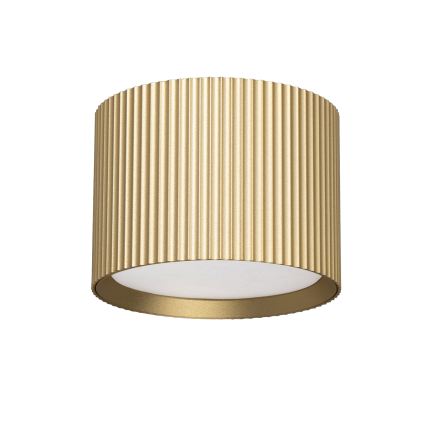 BRILAGI - Spot LED RGB+CCT dimmable STRIPY 1xGX53/14W/230V 60x82 mm 2700-6500K Wi-Fi Tuya doré