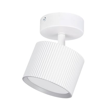 BRILAGI - Spot LED RGB+CCT dimmable STRIPY 1xGX53/14W/230V pr. 82 mm 2700–6500K Wi-Fi Tuya blanc