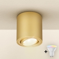 Brilagi - Spot LED RGBW à intensité variable MIA 1xGU10/4,8W/230V 3000K 84x80 mm doré + télécommande