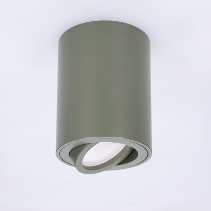 BRILAGI - Spot MIA 1xGU10/30W/230V 100x80 mm vert foncé