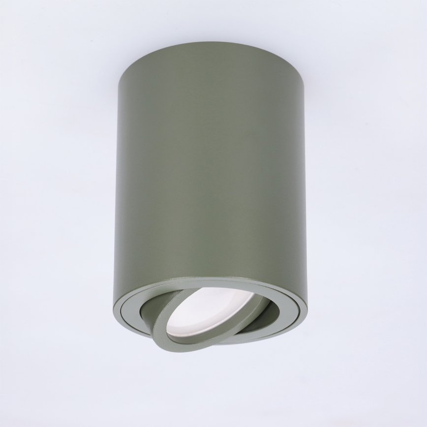 BRILAGI - Spot MIA 1xGU10/30W/230V 100x80 mm vert foncé