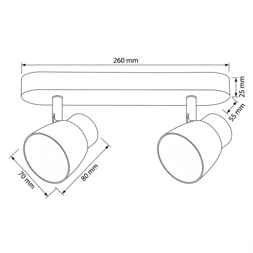 Brilagi - Spot NUGGET 2xGU10/30W/230V noir/doré