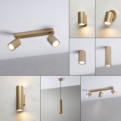 Brilagi - Spot orientable CRISPINA 2xGU10/10W/230V doré