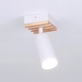 Brilagi - Spot orientable SELE WOOD ACOUSTIC 1xGU10/30W/230V blanc/bois