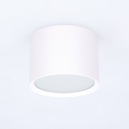 BRILAGI - Spot pour salle de bains SMOOTH 1xGX53/15W/230V 60x82 mm blanc IP54