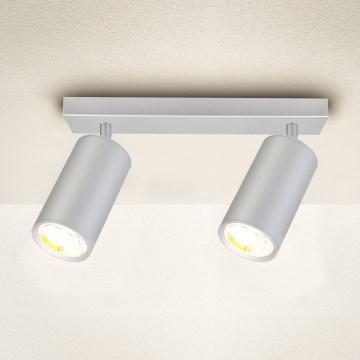 Brilagi - Spot salle de bain SELE 2xGU10/30W/230V IP44 argent