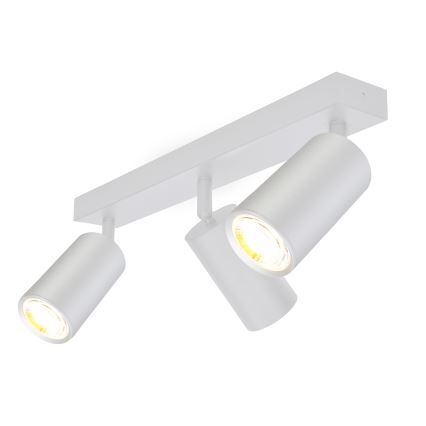 Brilagi - Spot salle de bain SELE 3xGU10/30W/230V IP44 argent