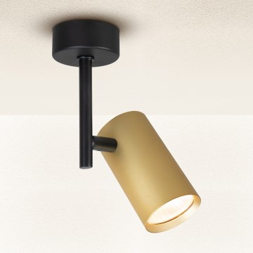 Brilagi - Spot SELE VERTICAL 1xGU10/30W/230V zwart/goud