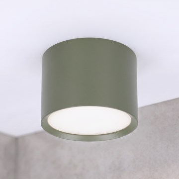 BRILAGI - Spot SMOOTH 1xGX53/15W/230V 60x82 mm vert foncé