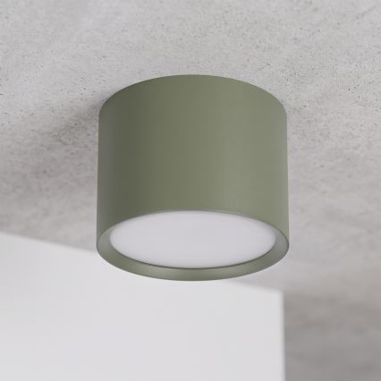 BRILAGI - Spot SMOOTH 1xGX53/15W/230V 60x82 mm vert foncé